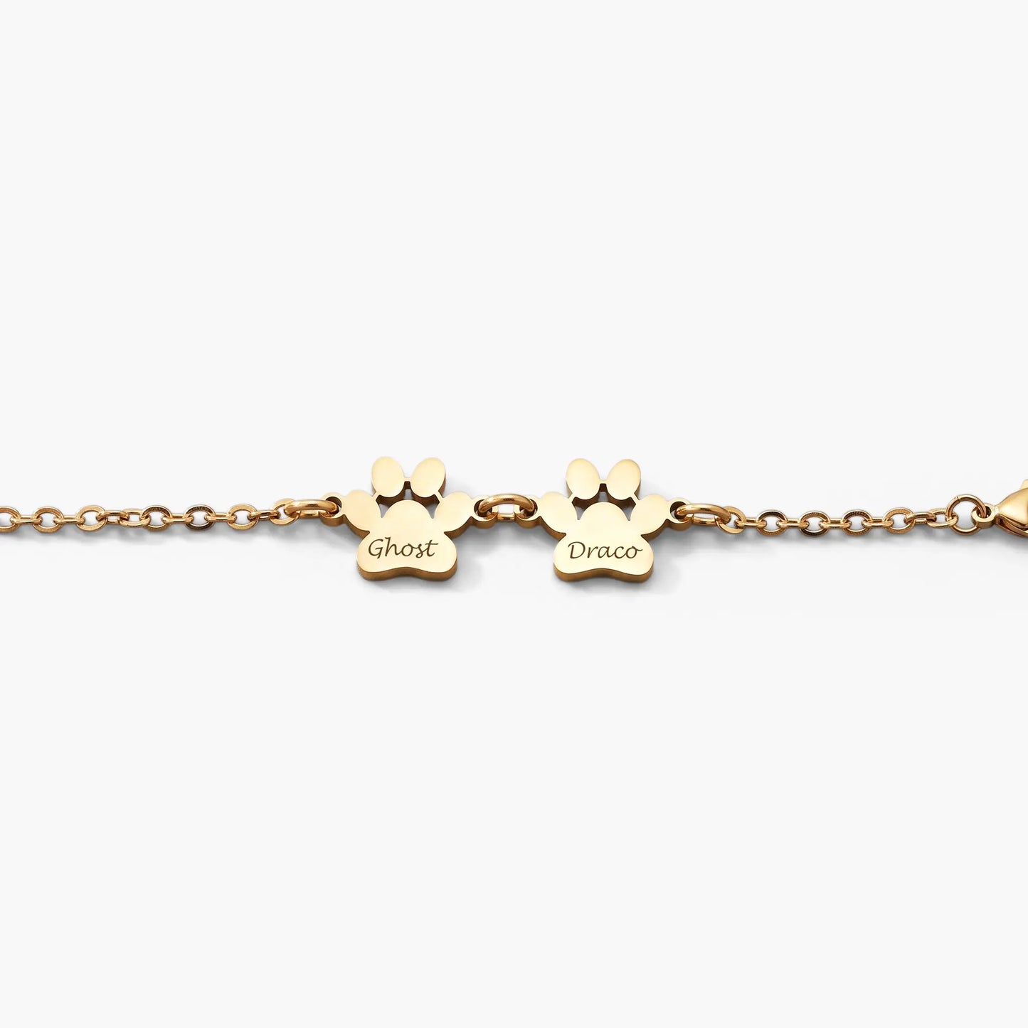 Bradroi Bracelet Chien Luccena