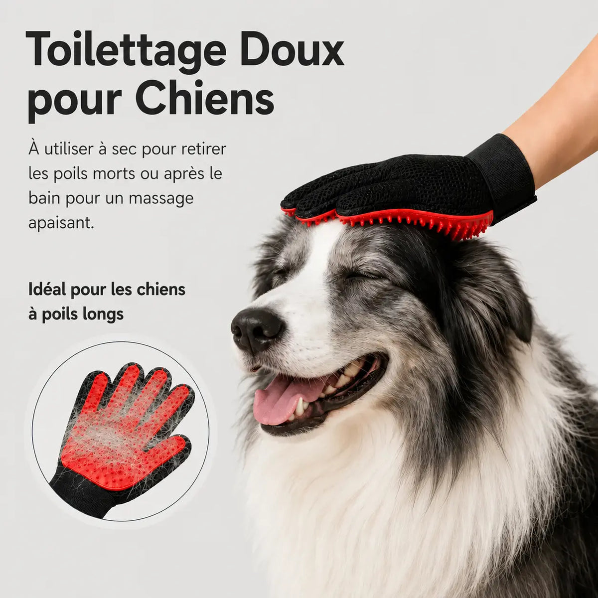 Bradroi Gant Soin de pelage Minéo