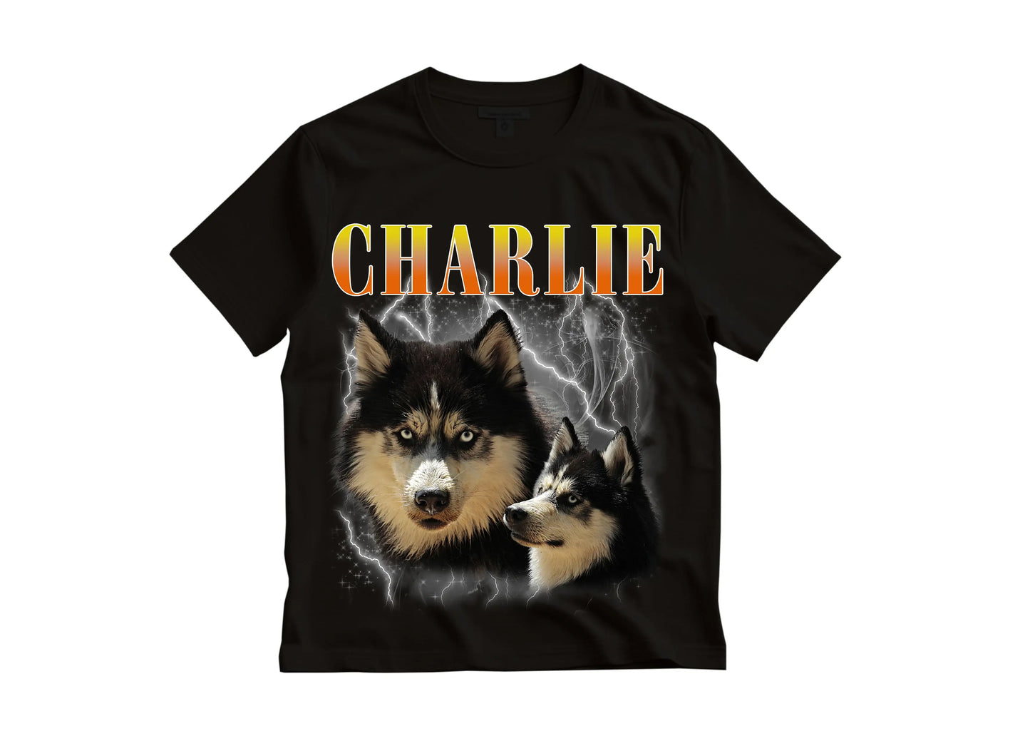Bradroi T-shirt Ferst Lan